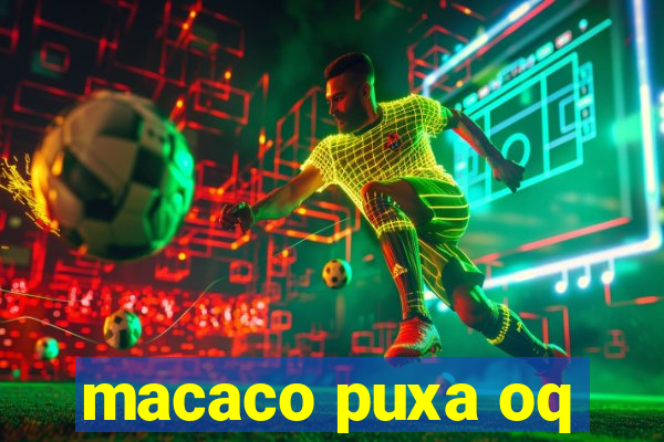 macaco puxa oq